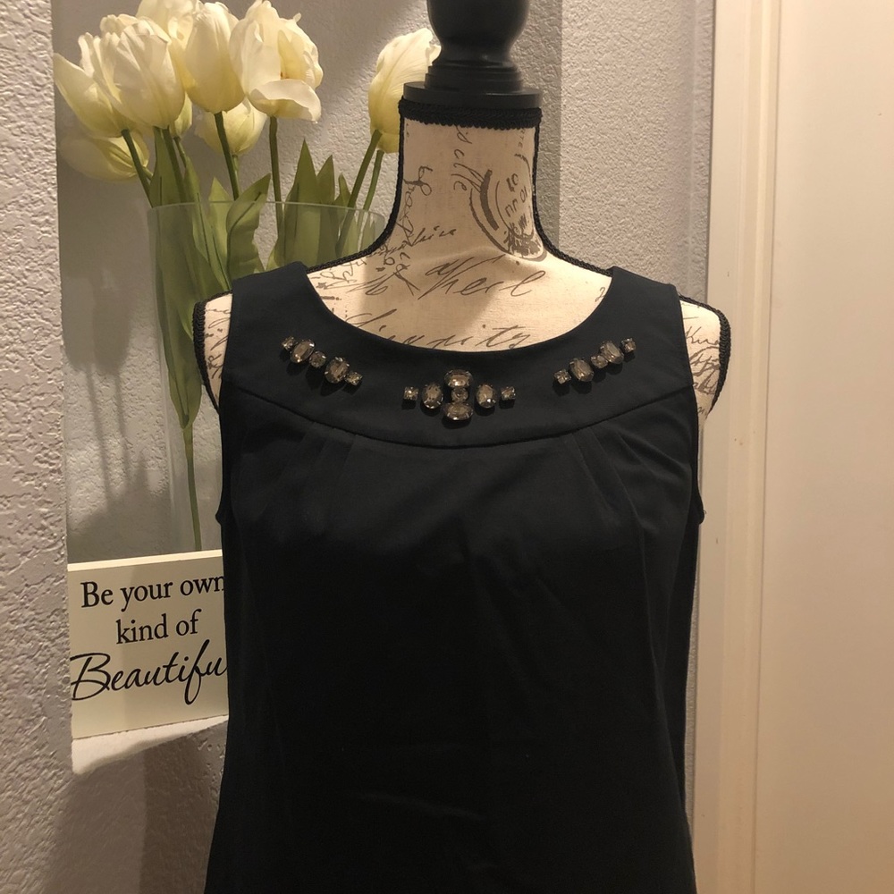 NWOT🖤Ann Taylor Dress